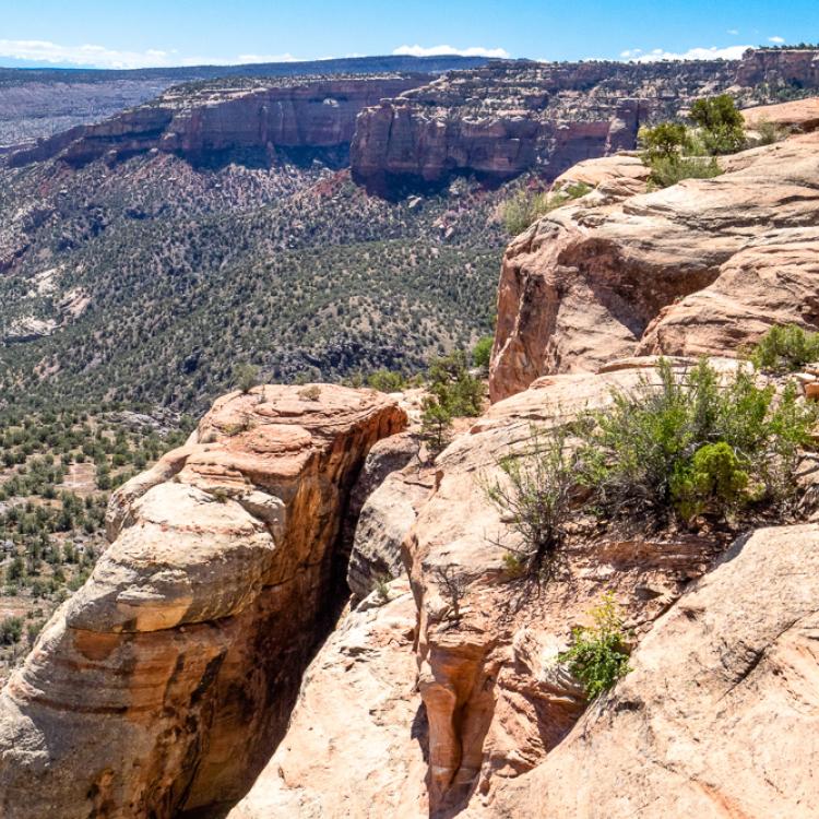 Liberty Cap Trail